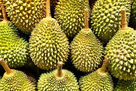 Nilai Ekspor Durian Indonesia Rp 29,4 Miliar, Nilai Impor Rp 58,9 Miliar