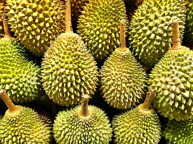 Nilai Ekspor Durian Indonesia Rp 29,4 Miliar, Nilai Impor Rp 58,9 Miliar