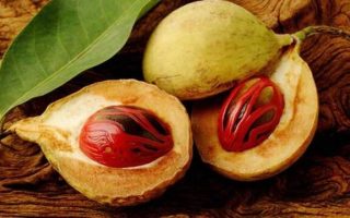 Ekspor Buah Pala Indonesia