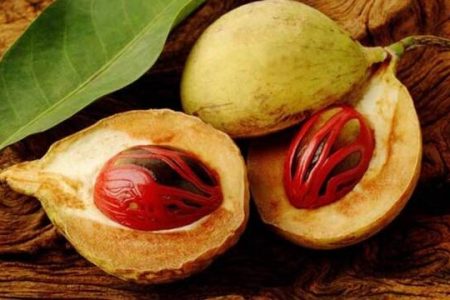 Ekspor Buah Pala Indonesia