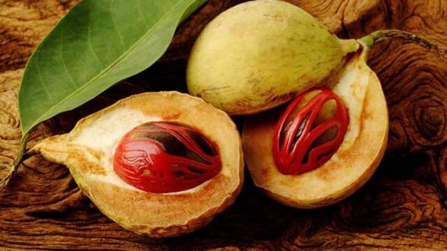 Ekspor Buah Pala Indonesia